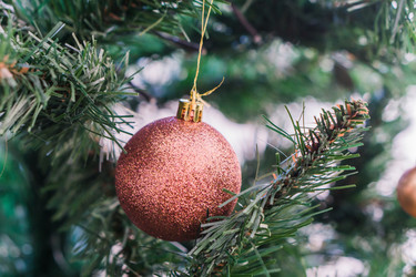 Similar image 21279690