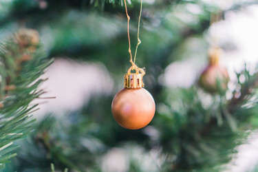 Similar image 21279691