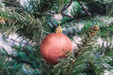 Similar image 21279692