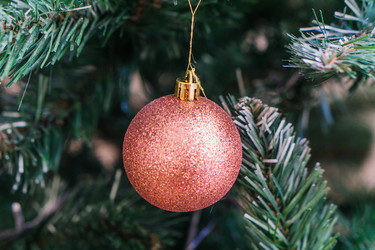 Similar image 21279693