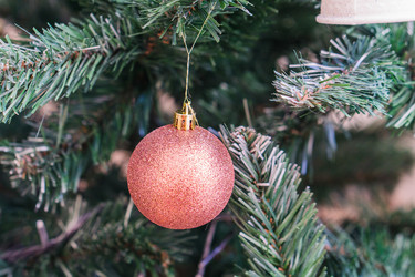 Similar image 21279694