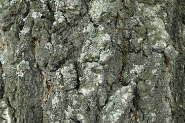 Similar image 21259260