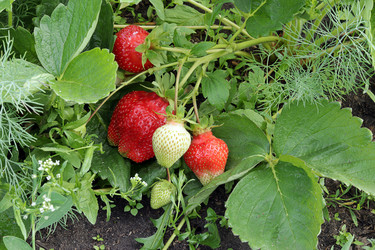 Similar image 21259262