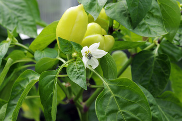 Similar image 21259263