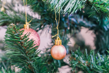 Similar image 21279695