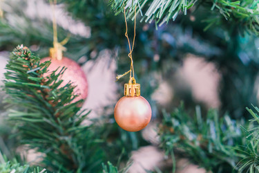 Similar image 21279696