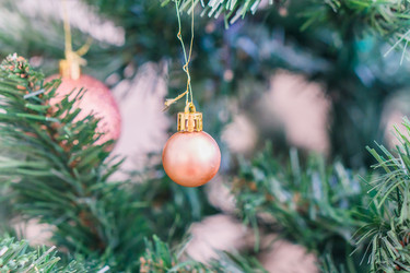 Similar image 21279697