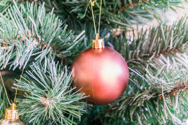 Similar image 21279699