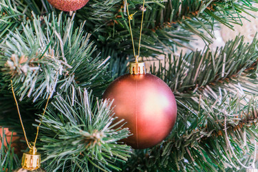 Similar image 21279700