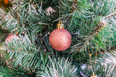 Similar image 21279701