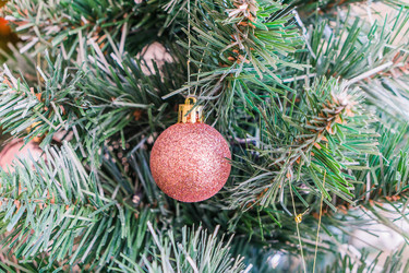 Similar image 21279702