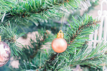 Similar image 21279706