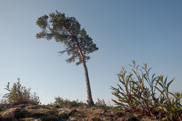 Similar image 21261658