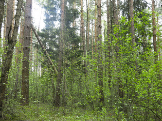 Similar image 21264744