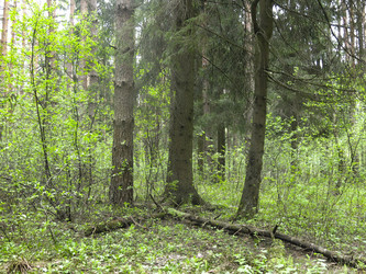 Similar image 21264746