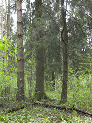 Similar image 21264747