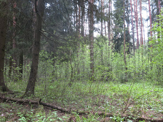 Similar image 21264748