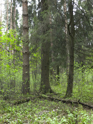 Similar image 21264749