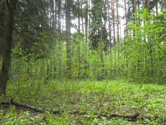 Similar image 21264750