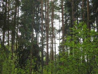 Similar image 21264751