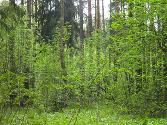 Similar image 21264752