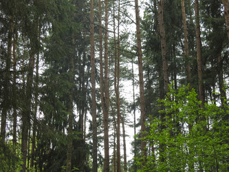 Similar image 21264753