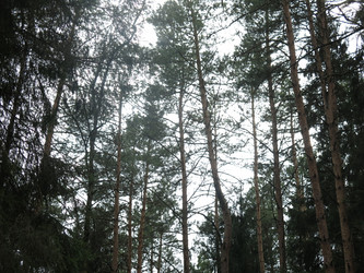 Similar image 21264754