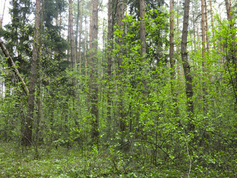 Similar image 21264755