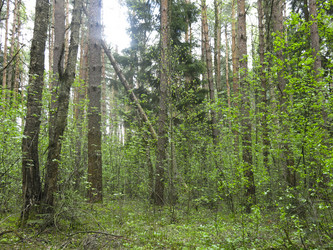 Similar image 21264757