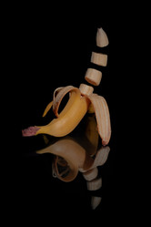 Similar image 21259264