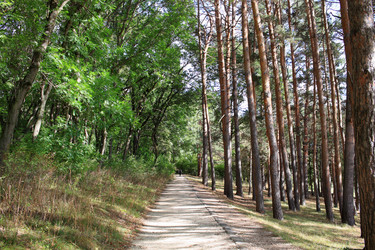 Similar image 21259276