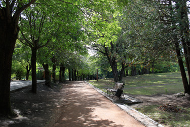 Similar image 21259277