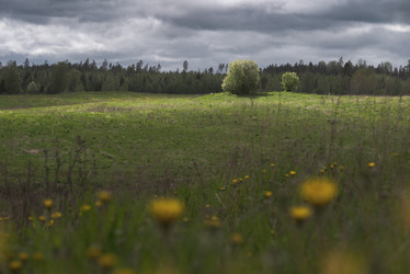 Similar image 21261671