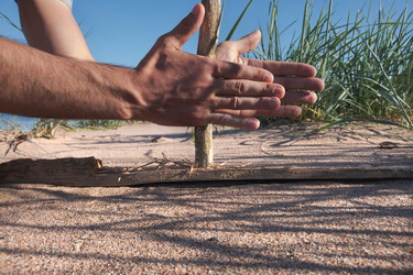 Similar image 21261677