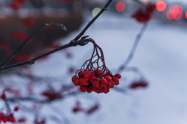 Similar image 21279641