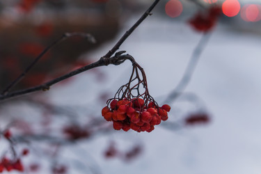 Similar image 21279642