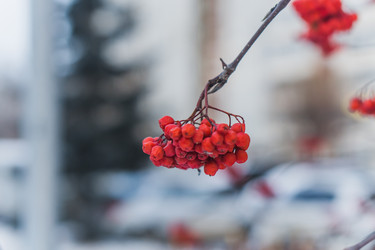 Similar image 21279644