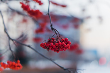 Similar image 21279645