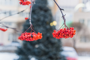 Similar image 21279646