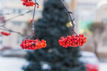 Similar image 21279647