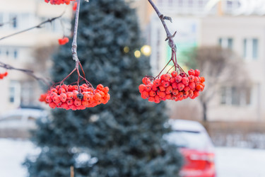 Similar image 21279649