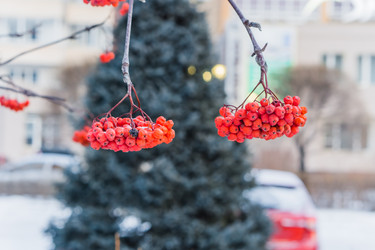 Similar image 21279708