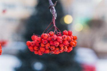 Similar image 21279710