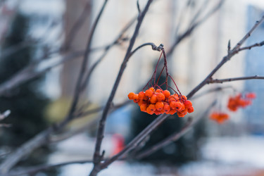 Similar image 21279711