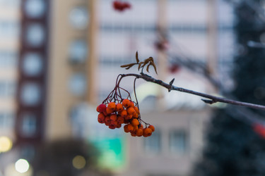 Similar image 21279712