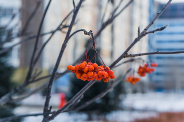 Similar image 21279713