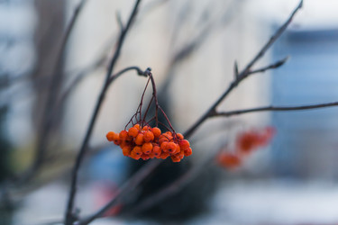 Similar image 21279715