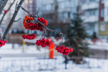 Similar image 21279717