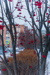 Similar image 21279719