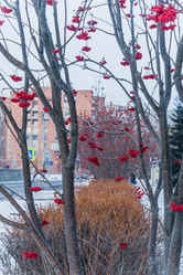 Similar image 21279721